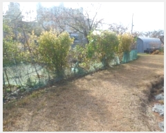  2024Ÿ22661 泲  ϵ 139-56       (Ӿ)