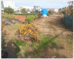  2024Ÿ22661 泲  ϵ 139-56       (Ӿ)