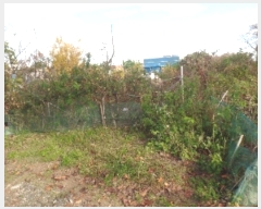  2024Ÿ22661 泲  ϵ 139-56       (Ӿ)