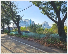  2024Ÿ22661 泲  ϵ 139-56       (Ӿ)