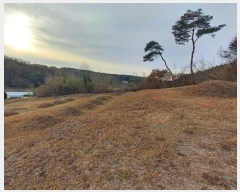  2024Ÿ23244 泲  뼺 ϵ 429-2      ()