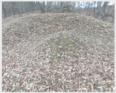  2024Ÿ23244 泲  뼺 ϵ 429-2      ()