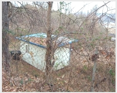  2024Ÿ23244 泲  뼺 ϵ 429-2      ()