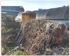  2024Ÿ23268 泲 ο  и 487      ()