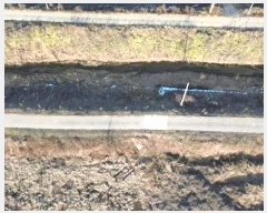  2024Ÿ��23398  ���ð��