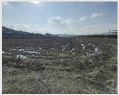  2024Ÿ159 泲   û 145-1      ()