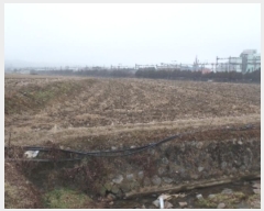  2024Ÿ159 泲   û 145-1      ()