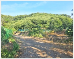  2024Ÿ��869 �泲 ����� ���̸� ������ 83-2      ����(�Ӿ�)���