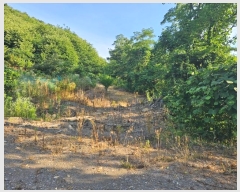  2024Ÿ��869 �泲 ����� ���̸� ������ 83-2      ����(�Ӿ�)���