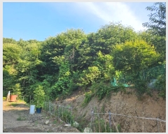  2024Ÿ��869 �泲 ����� ���̸� ������ 83-2      ����(�Ӿ�)���