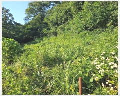  2024Ÿ��869 �泲 ����� ���̸� ������ 83-2      ����(�Ӿ�)���