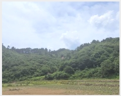  2024Ÿ��1015 �泲 ����� ���̸� �ݾϸ� 137      ����(�Ӿ�)���