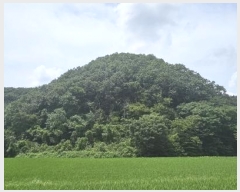  2024Ÿ��1015 �泲 ����� ���̸� �ݾϸ� 137      ����(�Ӿ�)���