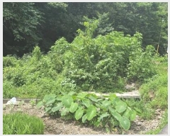  2024Ÿ��1015 �泲 ����� ���̸� �ݾϸ� 137      ����(�Ӿ�)���