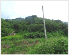  2024Ÿ��1015 �泲 ����� ���̸� �ݾϸ� 137      ����(�Ӿ�)���