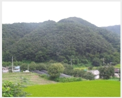  2024Ÿ��1015 �泲 ����� ���̸� �ݾϸ� 137      ����(�Ӿ�)���