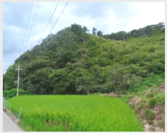  2024Ÿ��1015 �泲 ����� ���̸� �ݾϸ� 137      ����(�Ӿ�)���