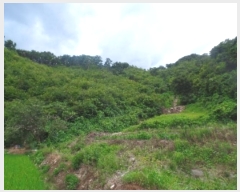  2024Ÿ��1015 �泲 ����� ���̸� �ݾϸ� 137      ����(�Ӿ�)���