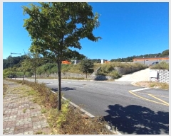  2024Ÿ1213 泲 ο  ߸ 552      