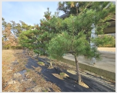  2024Ÿ��1725  �󰡰��