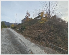  2024Ÿ��1725  �󰡰��