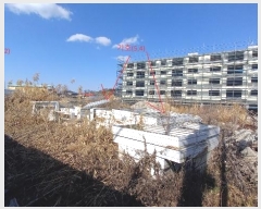  2024Ÿ20412 泲   ä긮 234-44      ()