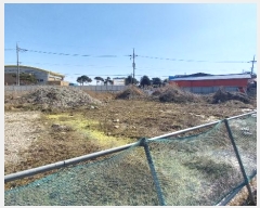  2024Ÿ20412 泲   ä긮 234-44      ()