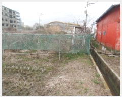  2024Ÿ20412 泲   ä긮 234-44      ()