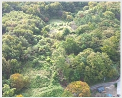  2024Ÿ22906 泲    516-13      (Ӿ)