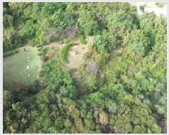  2024Ÿ22906 泲    516-13      (Ӿ)