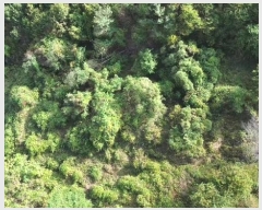  2024Ÿ22906 泲    516-13      (Ӿ)