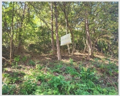  2024Ÿ22906 泲    516-13      (Ӿ)