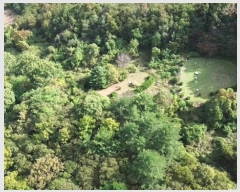  2024Ÿ22906 泲    516-13      (Ӿ)