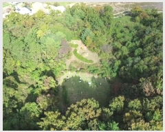  2024Ÿ22906 泲    516-13      (Ӿ)