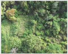  2024Ÿ22906 泲    516-13      (Ӿ)