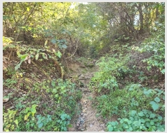  2024Ÿ22906 泲    516-13      (Ӿ)