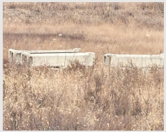  2024Ÿ��1770  �Ӿ߰��