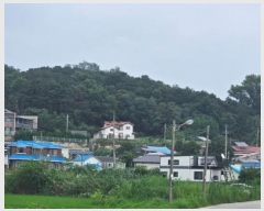  2024Ÿ��21835 �泲 ����� ��ȭ�� ��16-7       ����(�Ӿ�)���