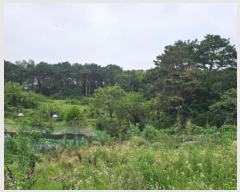  2024Ÿ��21835 �泲 ����� ��ȭ�� ��16-7       ����(�Ӿ�)���