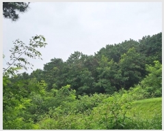  2024Ÿ��21835 �泲 ����� ��ȭ�� ��16-7       ����(�Ӿ�)���