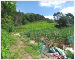  2024Ÿ��21835 �泲 ����� ��ȭ�� ��16-7       ����(�Ӿ�)���