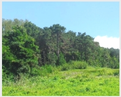  2024Ÿ��21835 �泲 ����� ��ȭ�� ��16-7       ����(�Ӿ�)���