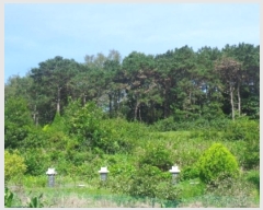  2024Ÿ��21835 �泲 ����� ��ȭ�� ��16-7       ����(�Ӿ�)���