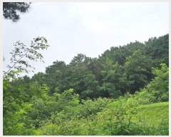  2024Ÿ��21835 �泲 ����� ��ȭ�� ��16-7       ����(�Ӿ�)���