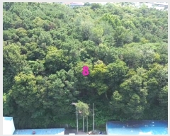  2024Ÿ��22210 �泲 ����� ������ ������ 310-10      ������