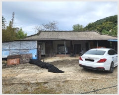  2024Ÿ22876 泲   ϸ 13      ()