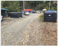  2024Ÿ22876 泲   ϸ 13      ()