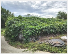  2024Ÿ22876 泲   ϸ 13      ()