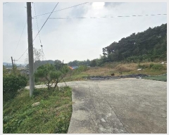  2024Ÿ22913 泲 ο  û۸ 5-4      (Ӿ)