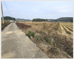  2024Ÿ22913 泲 ο  û۸ 5-4      (Ӿ)